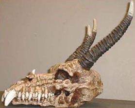 Dragon Skull