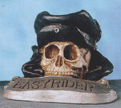 Easy Rider small skull