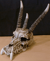 the dragon skulls