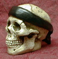 Bandana Skull